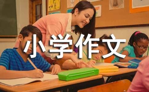 【實用】我的生活小學作文