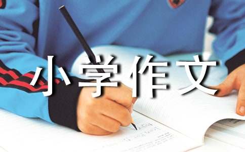 水立方嬉水樂園游玩小學作文400字（通用24篇）