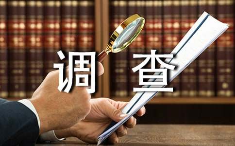 空巢老人調查報告通用