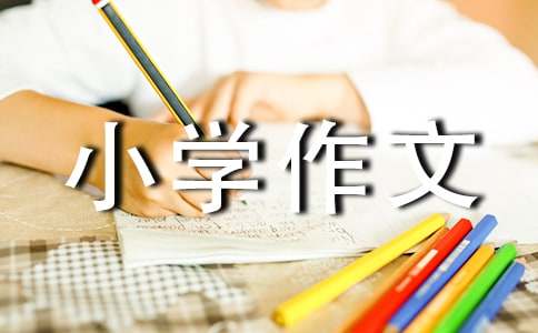 （優）我的房間小學作文15篇