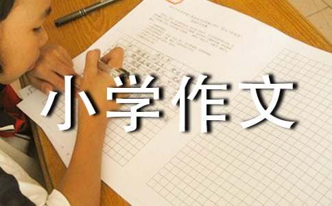 小學(xué)作文我的閃光點（精選40篇）