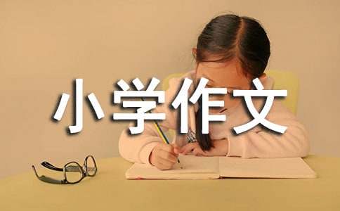 觀察小學作文（精選33篇）