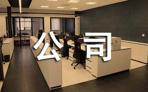 公司盡職調(diào)查報告