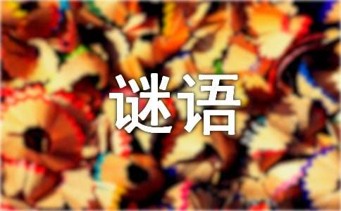 簡(jiǎn)單好玩的謎語(yǔ)