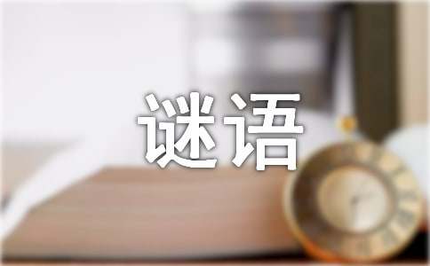 簡(jiǎn)單謎語大全及謎底260個(gè)