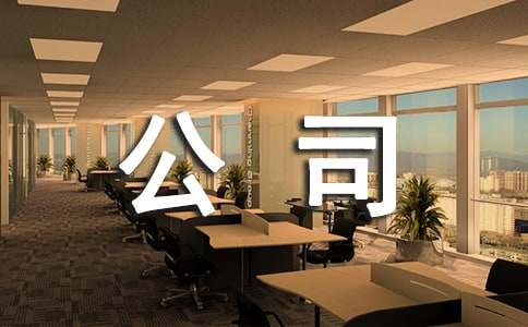 公司企業(yè)年度審計(jì)報(bào)告