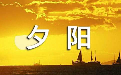 夕陽小學作文合集15篇