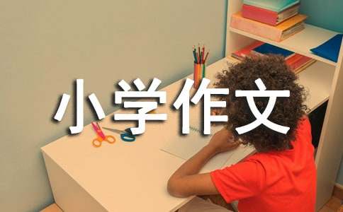 關于天氣小學作文3篇