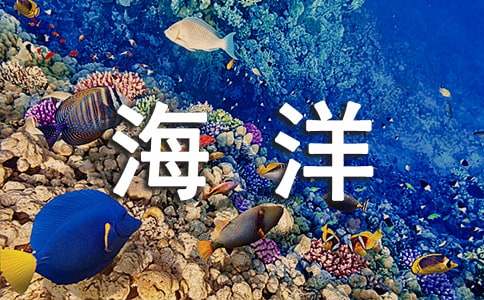 保護空氣的宣傳標語 保護海洋的宣傳標語