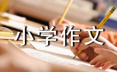 關(guān)于小學(xué)作文400字合集10篇